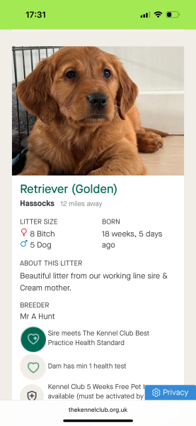 I want a puppy. I found a litter. Where do I start?