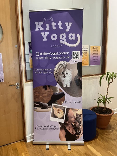 The One after the One where the Excellent Cats posed for a calendar