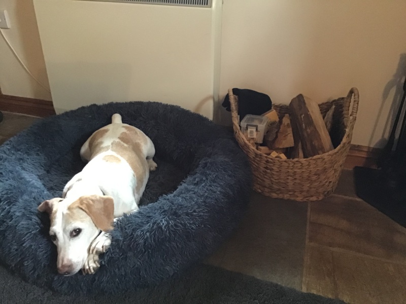 Thread 54 - Summer 25 - Graduations after Uni Year 3