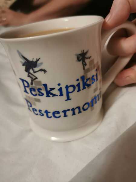 to show you my favorite mug