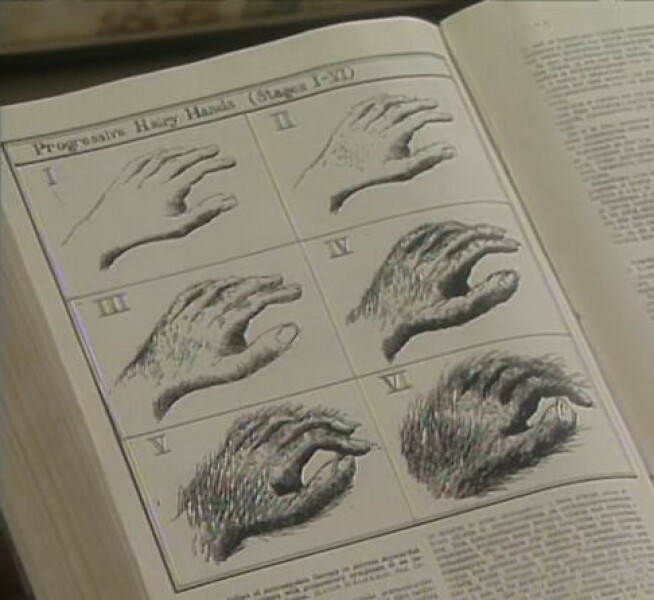 Millionaire£ at 23, self made. Feel lost.