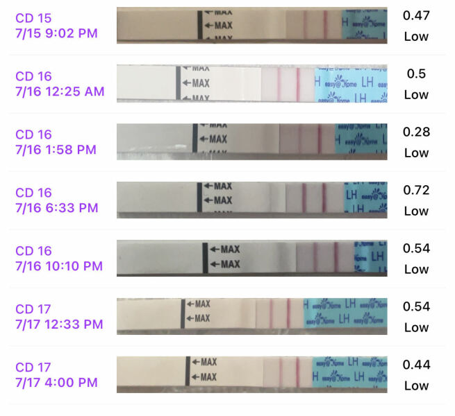 June/July TTC Thread❤️ CONTINUED
