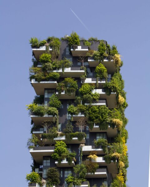 To think this tower is creepy?