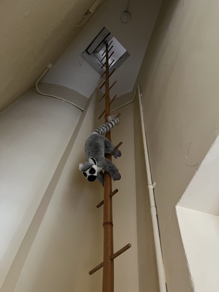 The One after the One where the Excellent Cats posed for a calendar