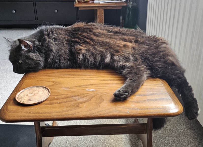 The One after the One where the Excellent Cats posed for a calendar