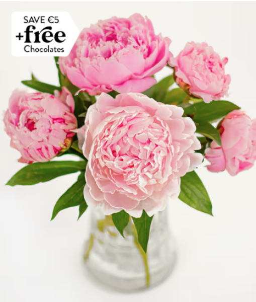 The Bluestocking - Invoking Split Pea Annexe B