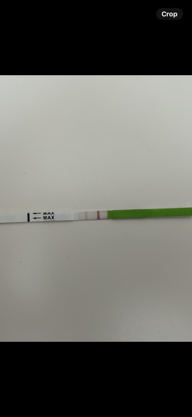 Ttc are these ovulation tests positive