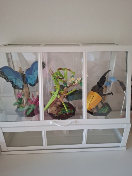 To show me your LEGO collection- Part 2