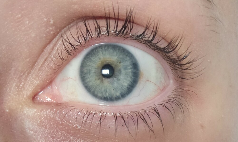 Eyelash tint with dark-ish eyelashes, worth it?
