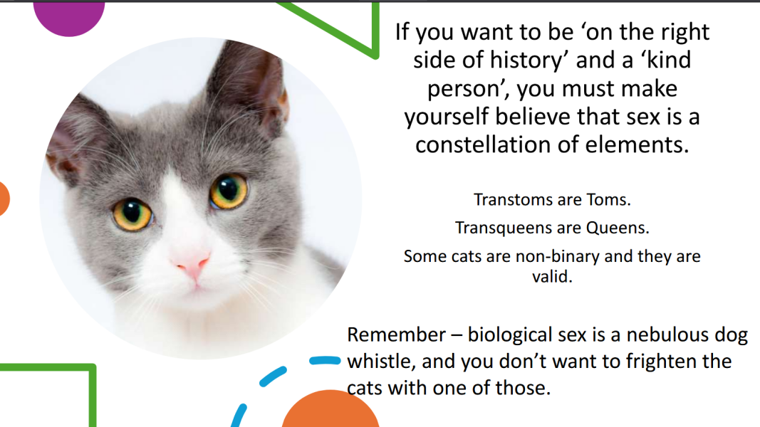 The Blackman-Bumba Guide...