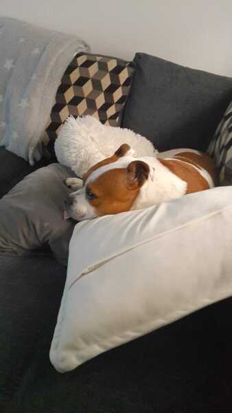 I've just had a cushion thrown at my head