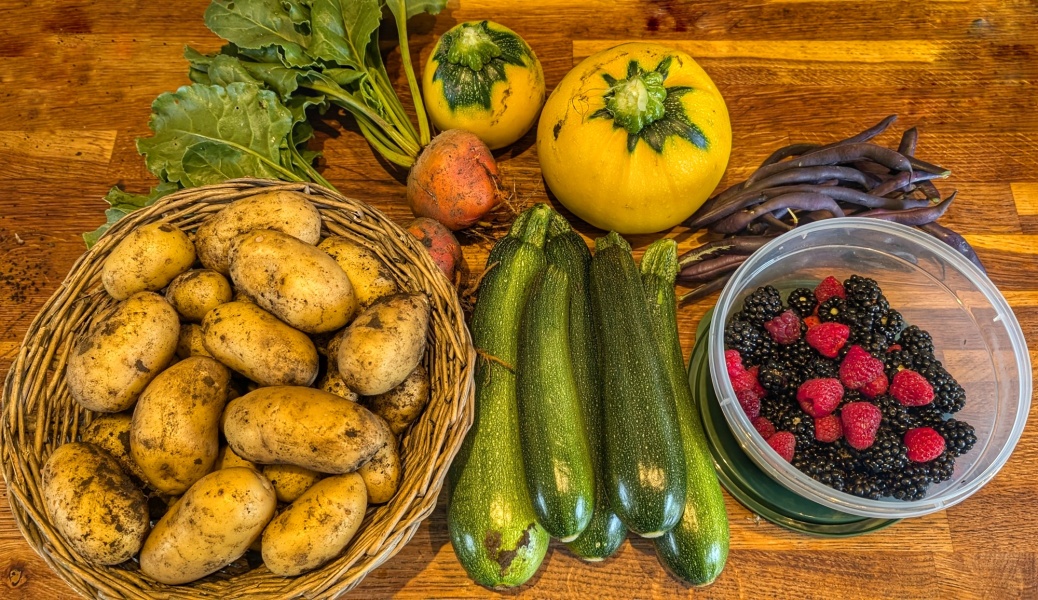 The Vegetable Patch 2024/2025
