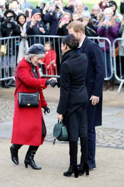 Opinions may Vary . A genuine question about why Meghan and Harry seem to attract such differing views.