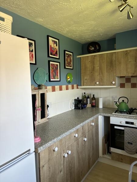 Unhappy with rental kitchen, vinyl wrapping?