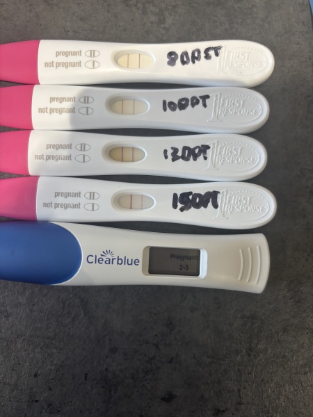 FETs June 2025 ✨✨