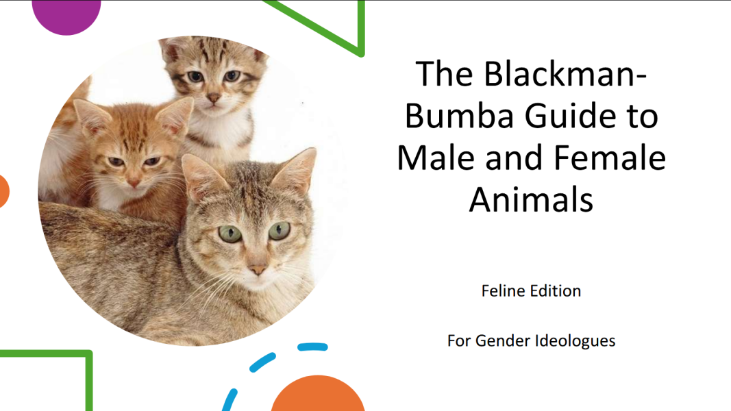 The Blackman-Bumba Guide...