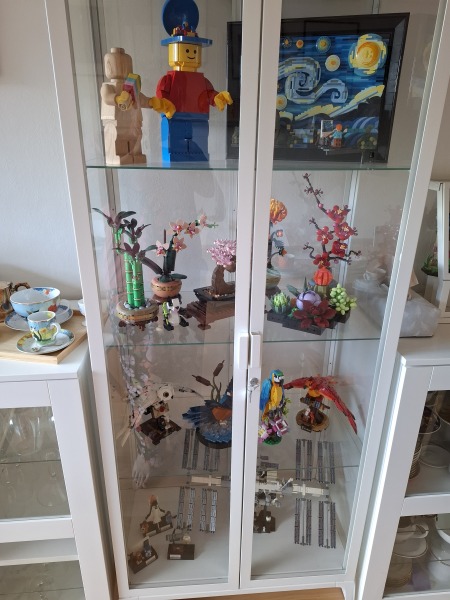 To show me your LEGO collection- Part 2