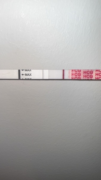 Evap/ indent?? Has anyone had this with wondfo strips?