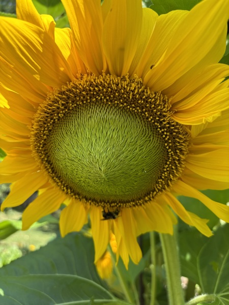 Come and tell us your dull and unexciting news 34: Calmly through the day