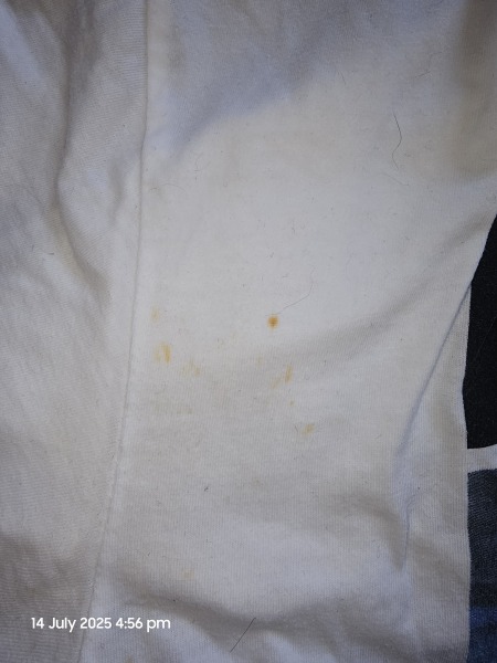 Help me get the last of this stain out of dd1's t-shirt, please!