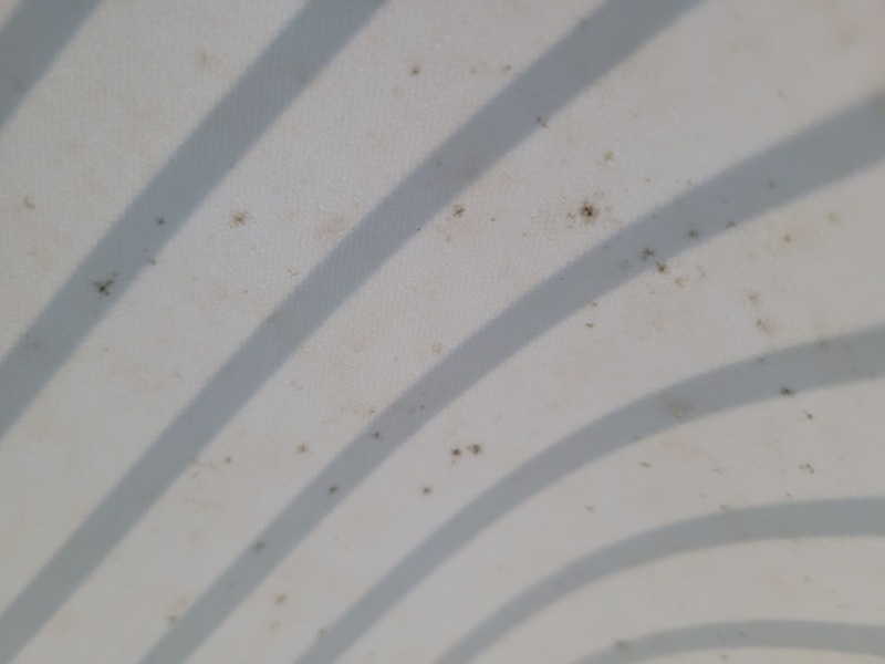 Help! What's this on mattress?