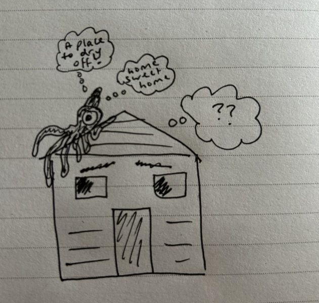 Thread 11: To feel disappointed after reading this in The Observer about the author and her husband from The Salt Path book and film?