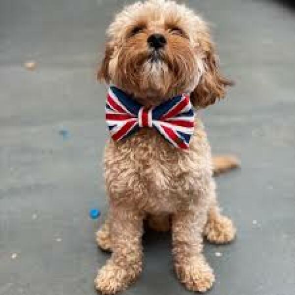 Royal Style: We Love the Boldness, Bring it on!