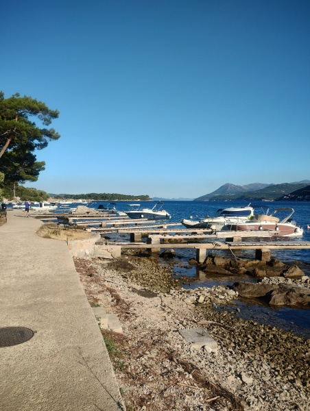 Running goals, motivation and chat 2025 - Part 2!