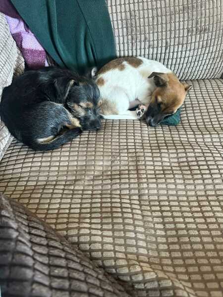 The One after the One where the Excellent Cats posed for a calendar