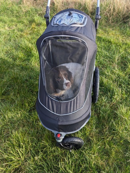 Please recommend a dog buggy/stroller
