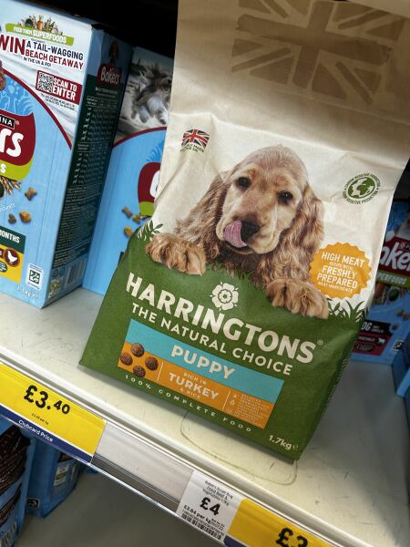 Wanting to change pups food