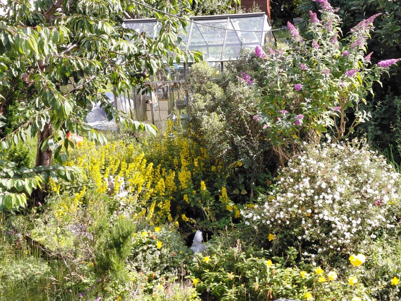 What have you done in the garden today? Part 7