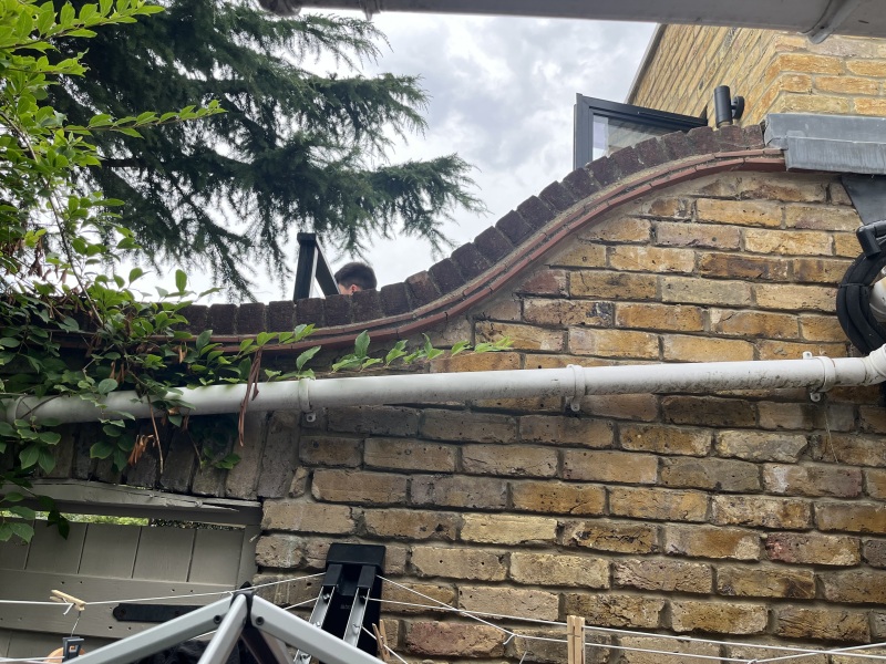 Curved trellis?