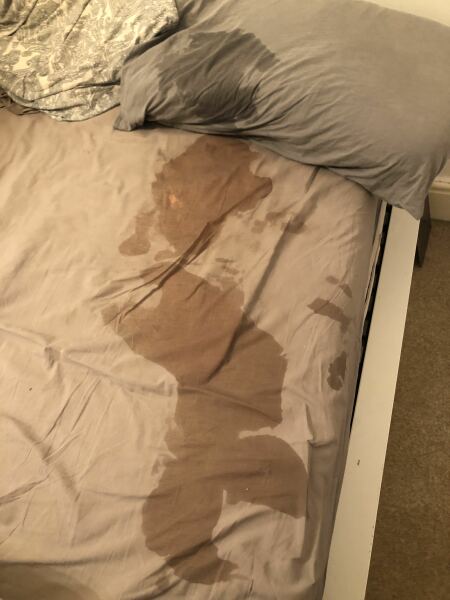 Does anyone else just have a sweaty child?