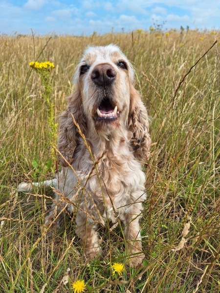 Year round Nigel Slater discussion thread Part 2