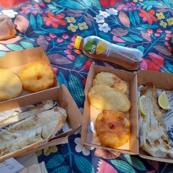 The ultimate picnic blanket - recommendations needed please