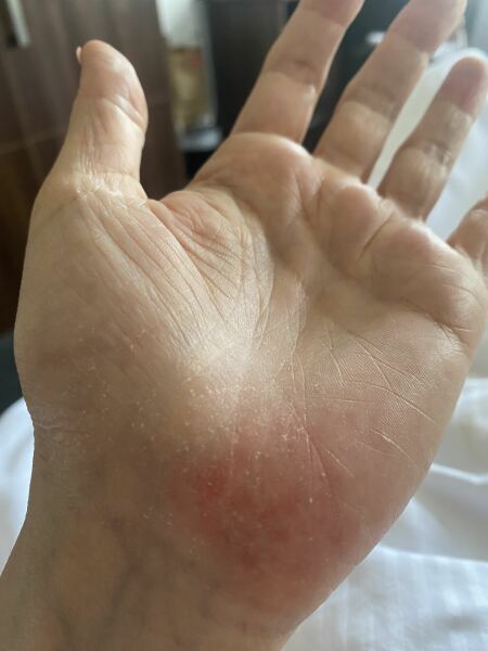 Anyone know what this could be?