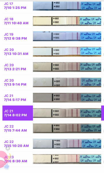 Ovulation tests