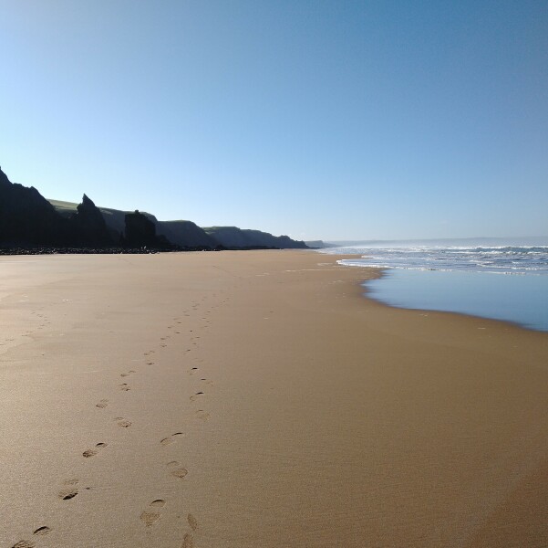 Thread 8: To feel disappointed after reading this in The Observer about the author and her husband from The Salt Path book and film?