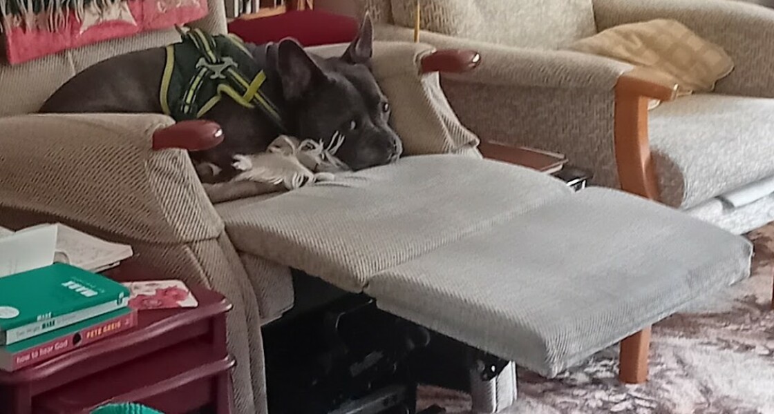 Continuing support thread for those trying to live an alcohol free life - summer 2025