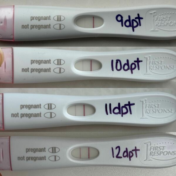 FETs June 2025 ✨✨