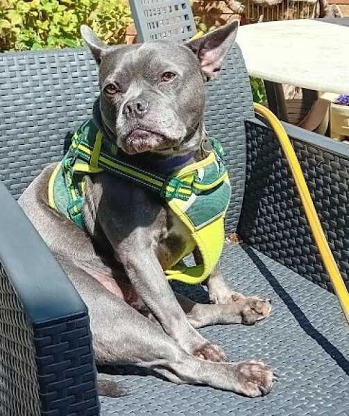 Continuing support thread for those trying to live an alcohol free life - summer 2025