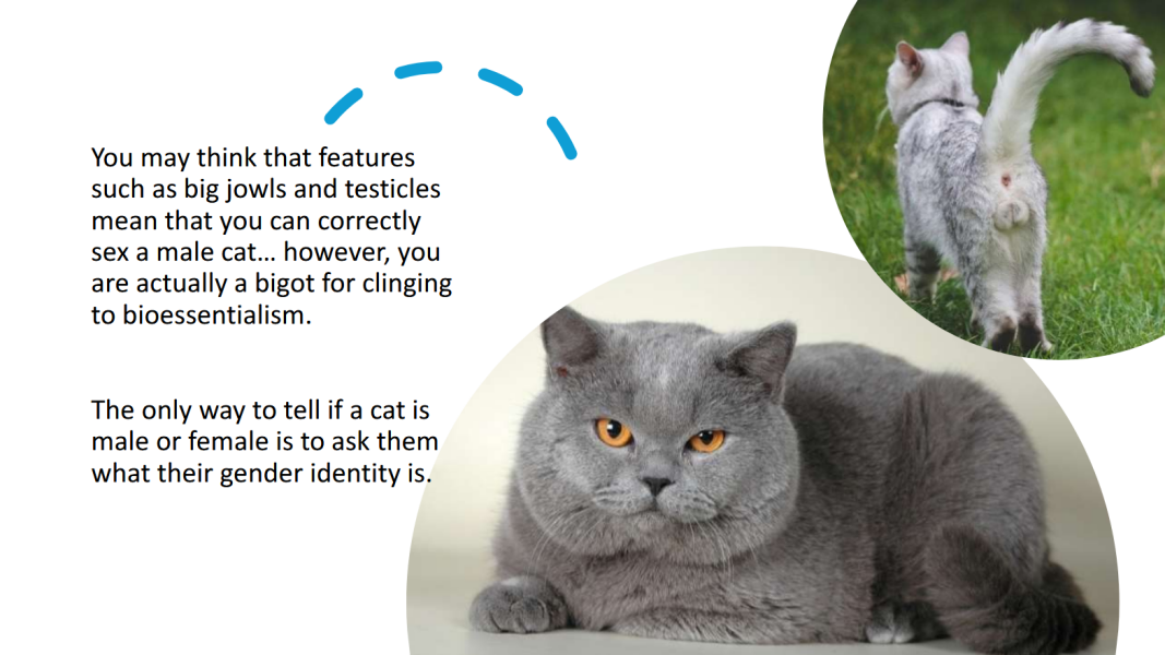 The Blackman-Bumba Guide...