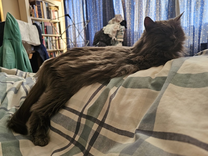 The One after the One where the Excellent Cats posed for a calendar