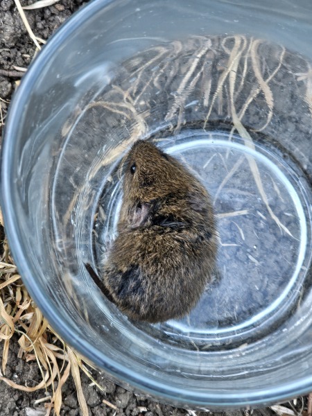 The One after the One where the Excellent Cats posed for a calendar
