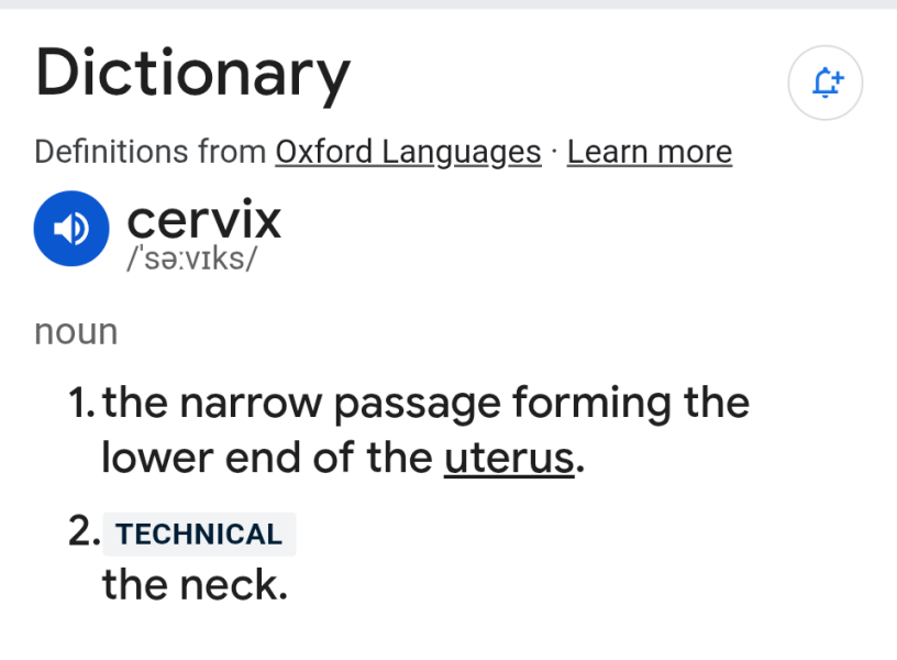 NHS Fife tries to silence nurse - Sandie Peggie vs NHS Fife Health Board and Dr Beth Upton - thread #33
