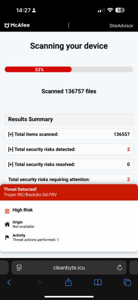 Fake virus page taking over