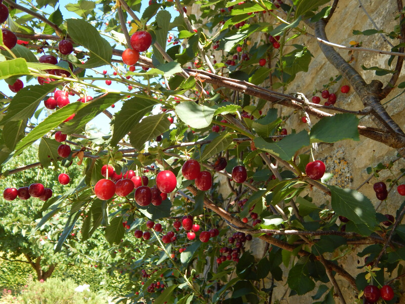 Thread 18 - TalkLair: "That's no moon. It's a space station!"