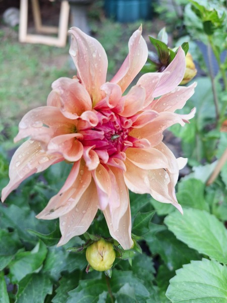 Year round Nigel Slater discussion thread Part 2