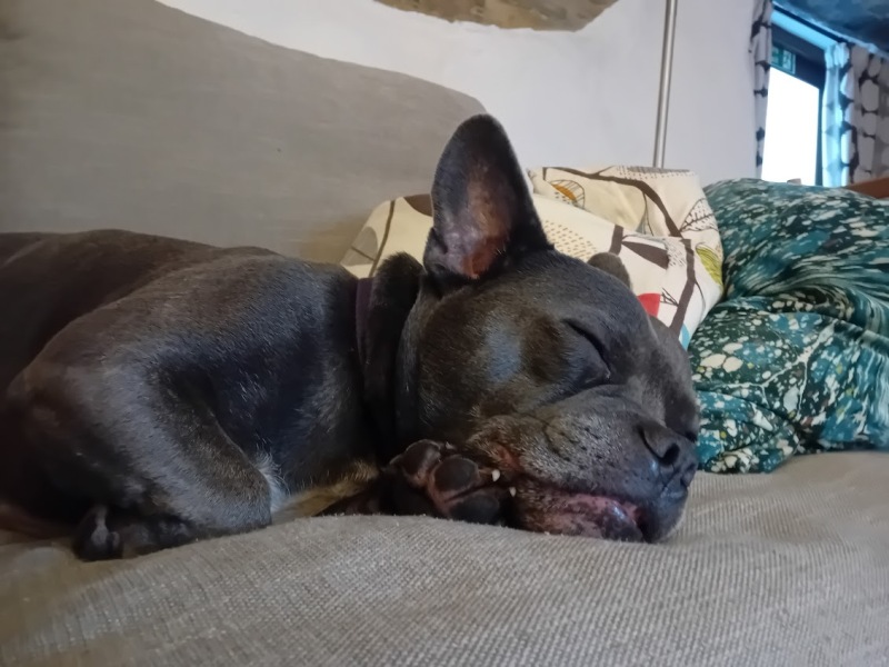 Continuing support thread for those trying to live an alcohol free life - summer 2025